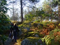 2016-10-09 Les gorges d Apremont 0029